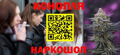 ГАЛЛЮЦИНОГЕННЫЕ ГРИБЫ Новозыбков
