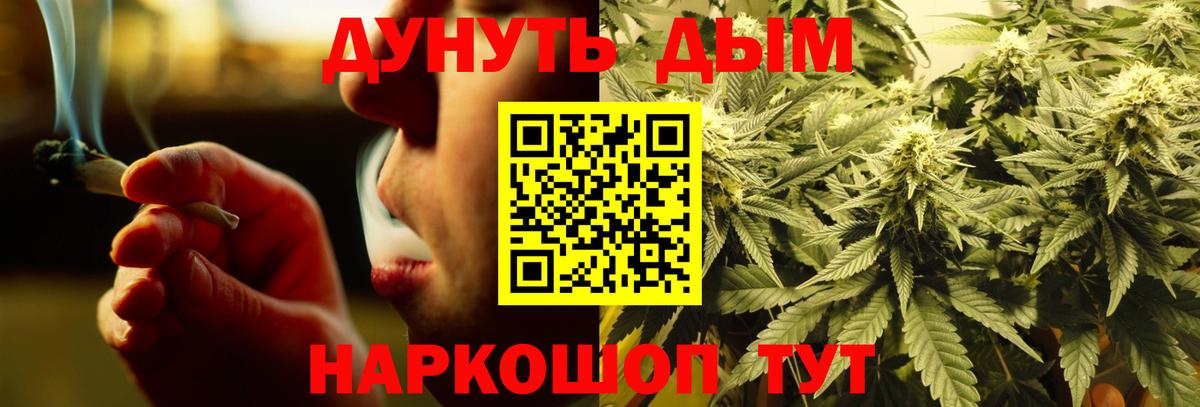 Конопля SATIVA & INDICA Черняховск